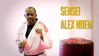 Olympic Karate Houston in Meyerland