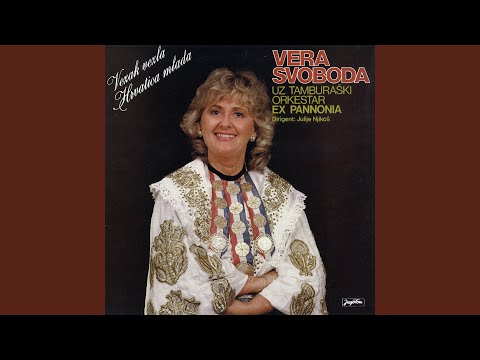 Vezak Vezla Hrvatica Mlada