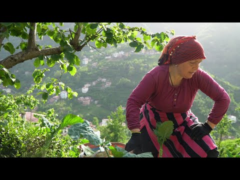 KÖK – Bir Kadının Şehirden Toprağa Yolculuğu | Belgesel