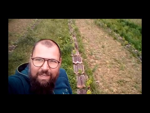 WINZERHOF LINDER - Permakulutur im Weinberg - Update Junganlage