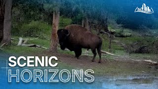 The World From Above | S04 EP 07-09 | Scenic Landscapes