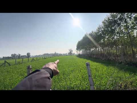  2 Bigha Residential Plot for Sale in Biharigarh, Saharanpur