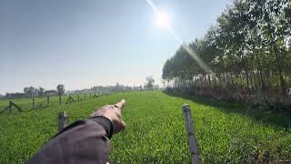  Residential Plot for Sale in Biharigarh, Saharanpur