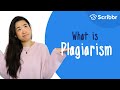 What Is Plagiarism Scribbr
