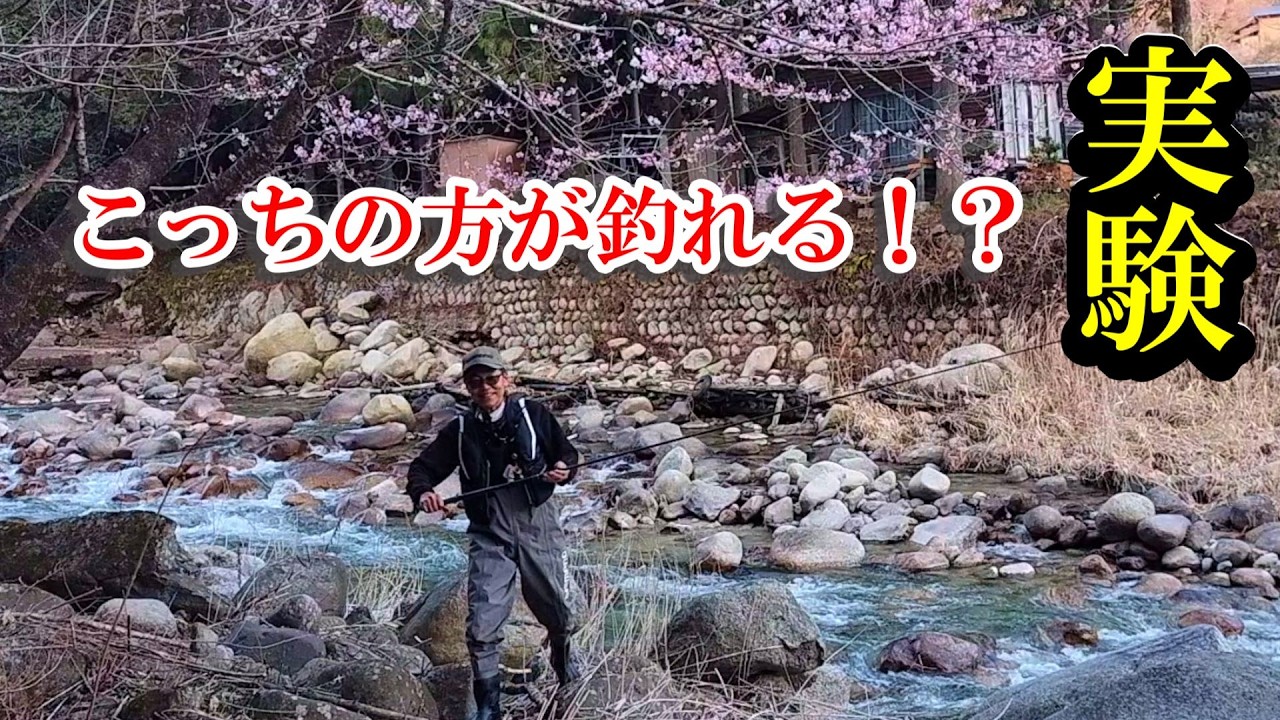 渓流釣り　釣れるドリフト法【餌釣り】