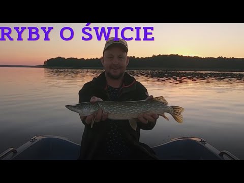 Jak to jest z tą rybą złowioną w pierwszym rzucie? | Najdłuższe jezioro w Polsce |