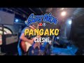 Pangako | Cueshe - Sweetnotes Cover