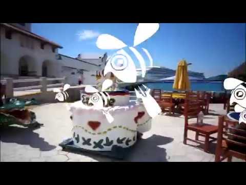 Schweinsohrn (die Bienen sind unsere Freunde!!) - WickedSquad Video:MissG