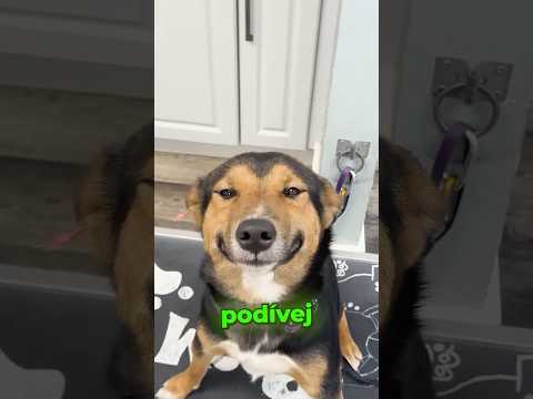 Výsledek tohoto experimentu všechny překvapil.😱🔬