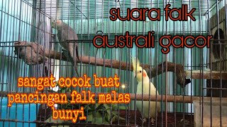 Download lagu Suara burung parkit australi gacor cocok buat pancingan falk malas bunyi mp3 Download lagu Suara burung parkit australi gacor cocok buat pancingan falk malas bunyi mp3