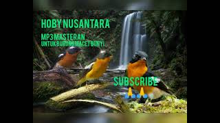 Download lagu teraphy mugimaki biar rilex dengan gemercik air @hobynusantara5159 mp3