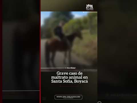 🔴Maltrato animal🔴en Santa Sofía, Boyacá sienten indignación por crueldad hacia un perro