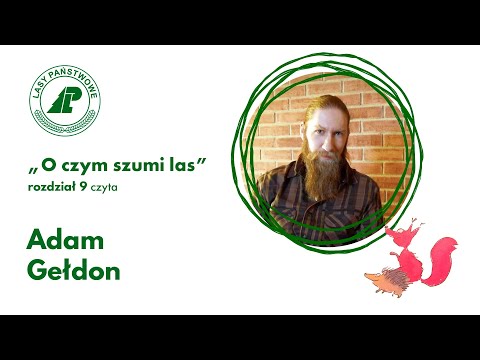 "O czym szumi las" - Rozdział IX - Rozprawa [czyta Adam Gełdon z kanału ECHA LEŚNE]