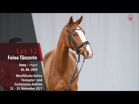 Youngster- und Zuchtstuten-Auktion Lot 12 Feine Tänzerin Stute v. Fürst Samarant - Dancier