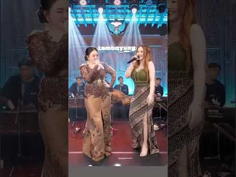 Ajeng febria feat syahiba saufa terbaru.... #trending #dangdutkoplo #ajengfebria #syahibasaufa #fyp