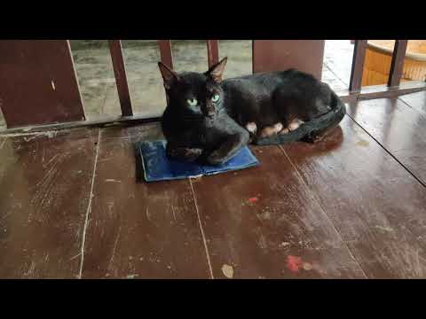 Mrs. Kali's territory ~ A bench ~