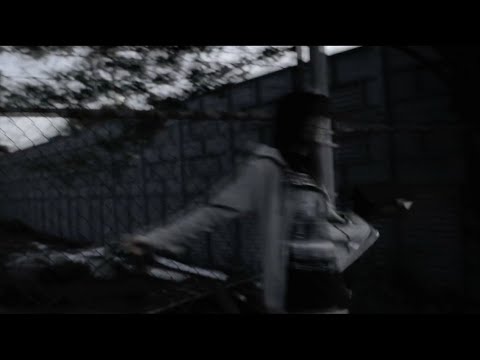 Video thumbnail for Spirulina