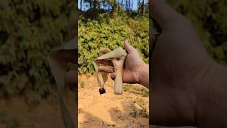 powerful slingshot made from tree branches and gloves