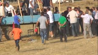 preview picture of video 'Kızılca Rahvan at yarışıı'