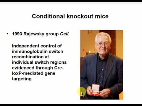 Forward and Reverse Genetics - Animal, Gene KO