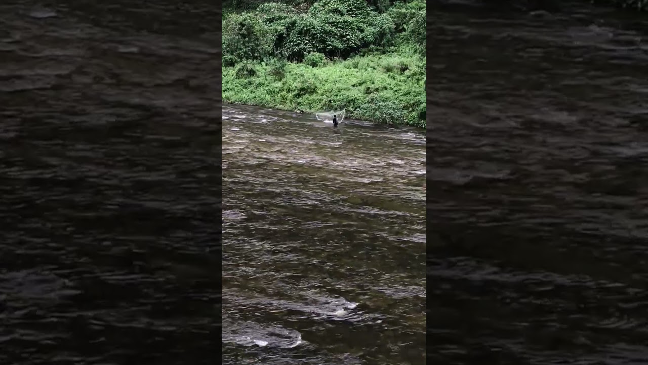 %E0%A6%95%E0%A7%81%E0%A6%A1%E0%A6%BC%E0%A6%BF%E0%A6%97%E0%A7%8D%E0%A6%B0%E0%A