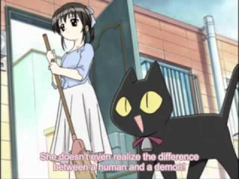 Pita Ten  Best Friends