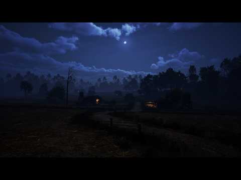 Plowed Field Ambience | Countryside with Night Animals: Crickets, Owls | Wind Sounds for Sleep