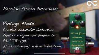 Video thumbnail for One Control Persian Green Screamer - BJFE Design by Visual Guy
