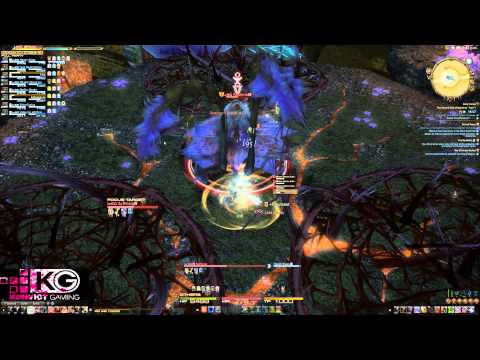 Haxyn Presents - Rafflesia T6 [SCoB]