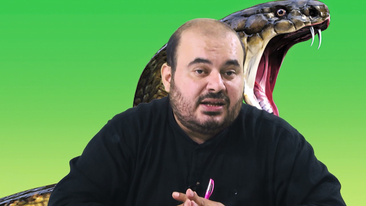 RÜYADA YILAN SALDIRMASI GÖRMEK Esved Dini Rüya tabirleri ve yorumu