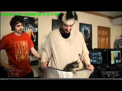Mr.Meowgi in Nova's sumo suit (The Creatures 24 hour charity livestream)