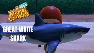 Animal Crossing: New Horizons: How To Catch A GREAT WHITE SHARK (Bells, Location, Time)