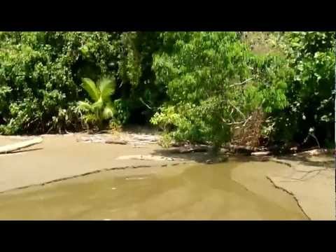 Playa Arco Costa Rica Costa Ballena