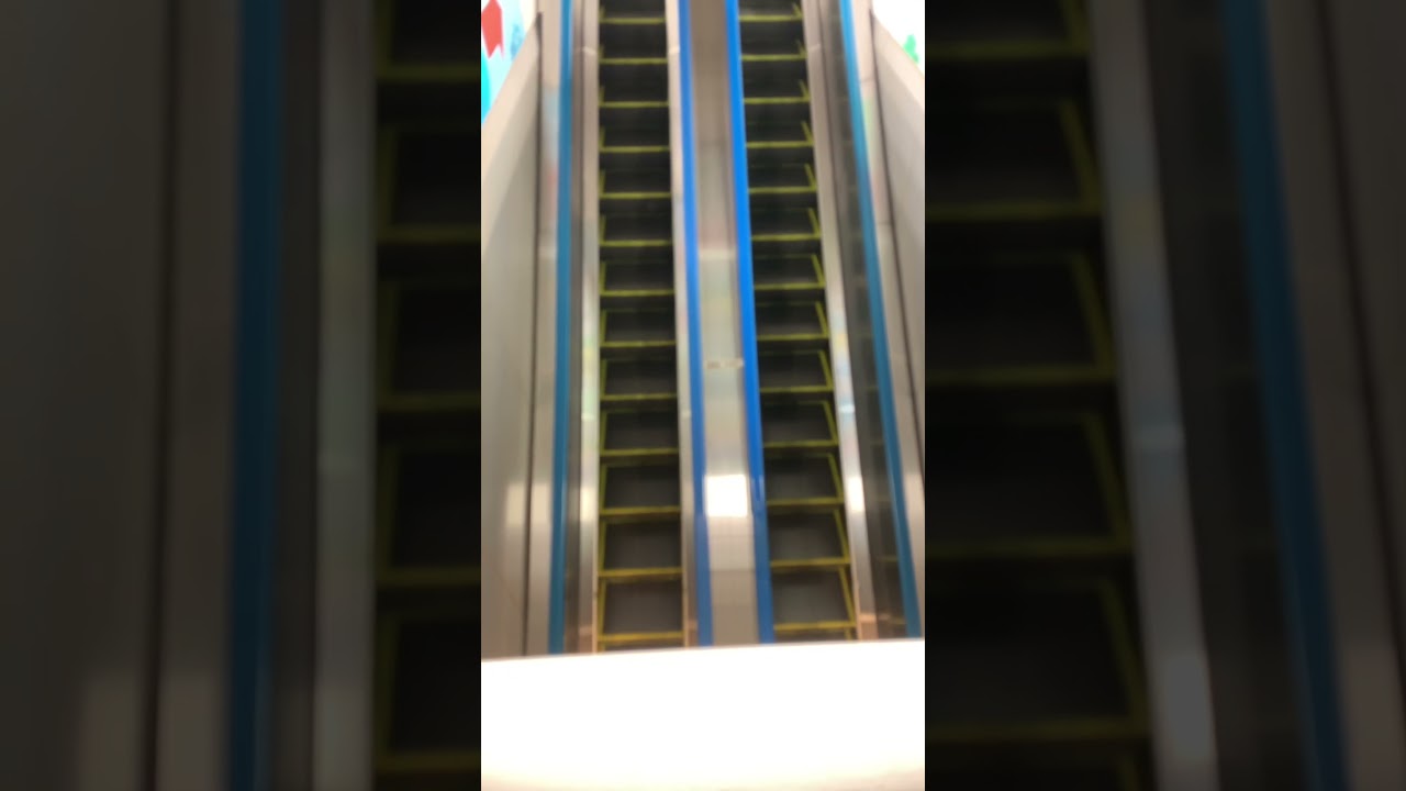 PINOY TRAVELLER TOKYO