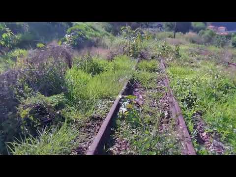 O TEMPO PAROU  E  O FIM DA  LINHA SOROCABANA  EM  SÃO PAULO