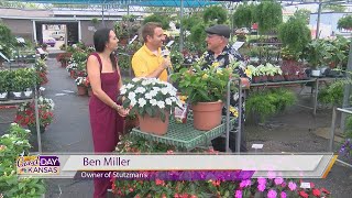 Let's Grow It - Stutzmans