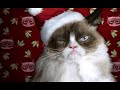 Grumpy Cat S Worst Christmas Ever Official TRAILER 2014 Aubrey Plaza MovieHD