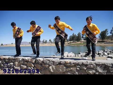 Negrito de Zapateo "La Original de Utec" - Hojita Verde