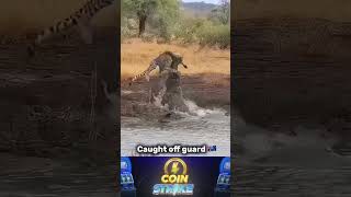 IMG 3269