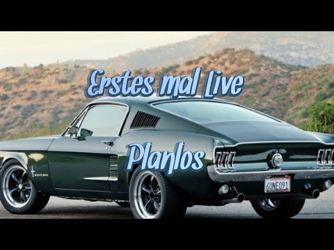 Wir gehen zum ersten Mal Live🙈