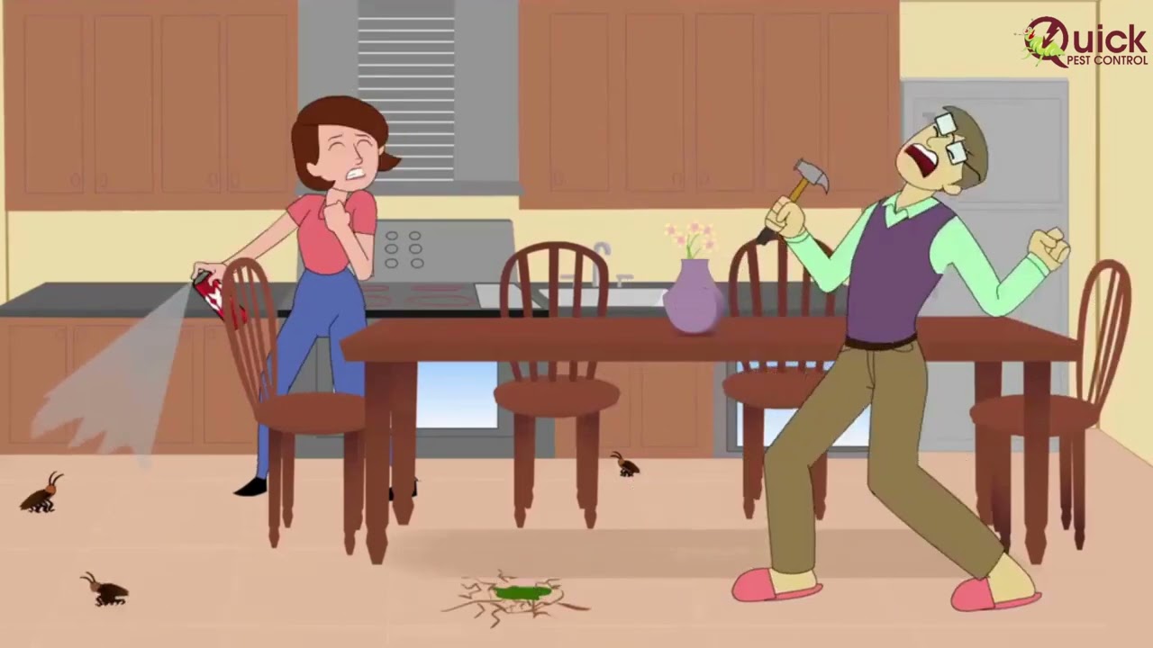 London Pest Control Experts | Same Day Service | Rats, Mice, Bed Bugs & More