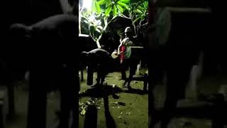 Download lagu Video lucu 😄 bangunin sahur di kuburan mp3 Download lagu Video lucu 😄 bangunin sahur di kuburan mp3