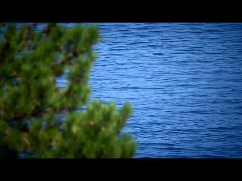 Camping Marina, Labin, Istria - first 4* seafront campsite situated on the east coast of Istria