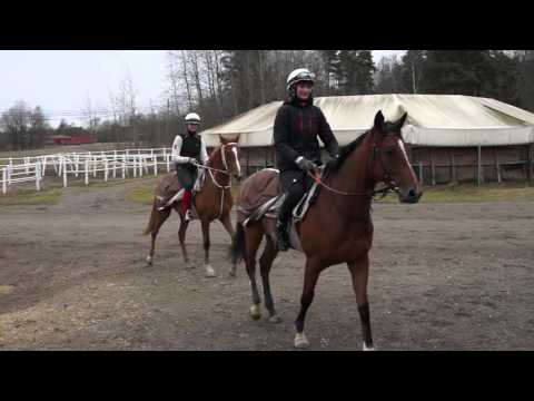 2016 04 02 Leyan avslutar träning