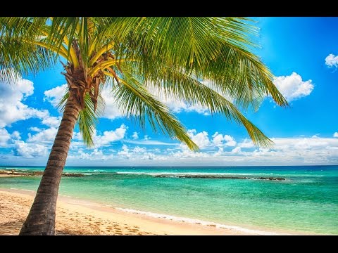 Alan Santy - Dreams (Original Mix) [Suplifth Recordings]