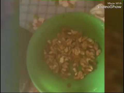 Рождественская кутья(рецепт)