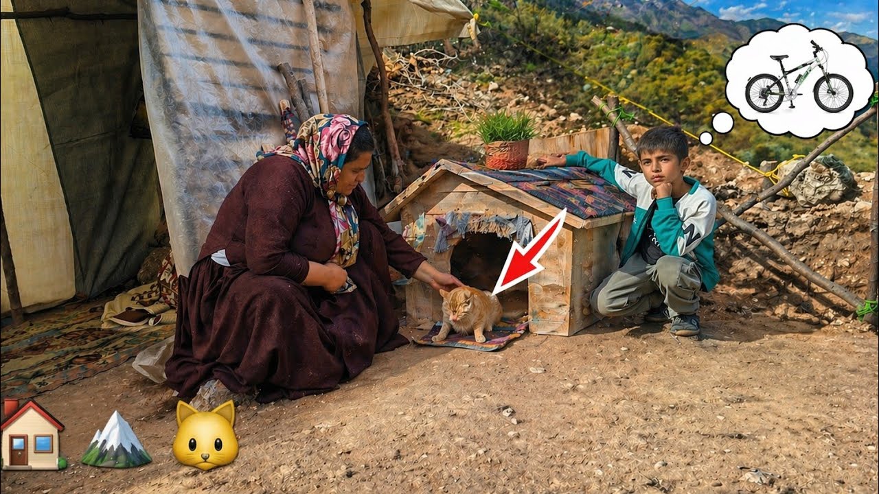 I Built a LUXURY HOUSE for a STRAY KITTEN in the WILDERNESS… You Won’t Believe What Happened 😱🐱