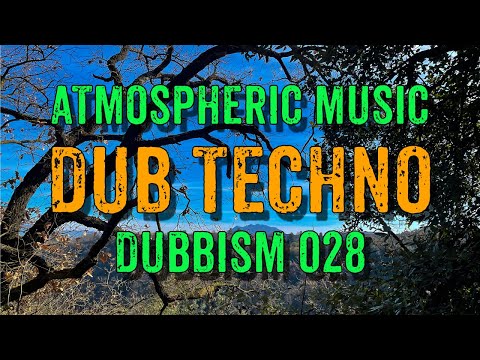 Dub Techno Mix 2022 | DUBBISM 028 - Dott. Santafeo
