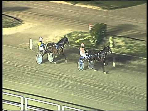 Trotto 26/01/2016 -  prova di qualifica