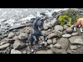 Black Beauty S Herd Episode 4 Season 1 Good Bye Ocean